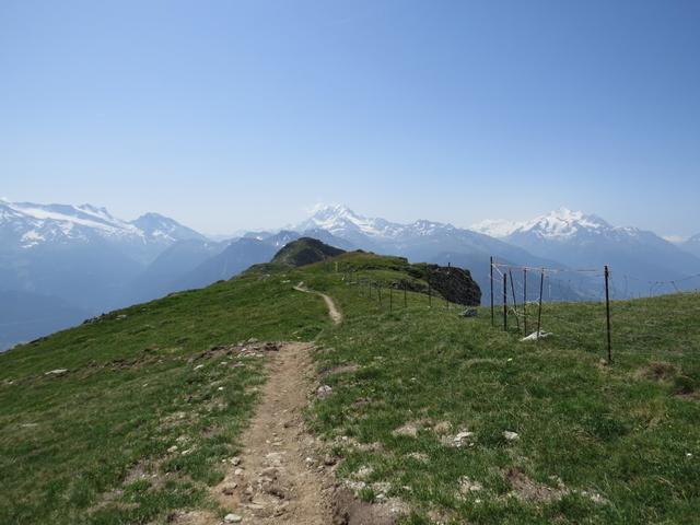 wir haben den Bälgrat erreicht 2572 m.ü.M. Geradeaus vor uns das Foggenhorn