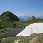 bei Punkt 2542 m.ü.M. durchqueren wir noch kleine Altschneefelder. Vor uns das Foggenhorn