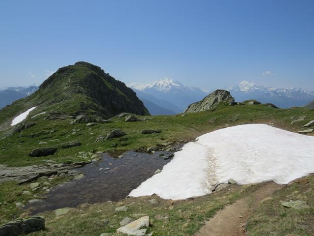 bei Punkt 2542 m.ü.M. durchqueren wir noch kleine Altschneefelder. Vor uns das Foggenhorn