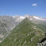 Blick zurück zum Bälgrat. Über diesen schönen, nicht ausgesetzten Grat sind wir aufs Foggenhorn gewandert