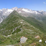 schönes Breitbildfoto von links das Gredetschtal, Bälgrat, Unterbächhorn, Sparrhorn und Aletschgletscher