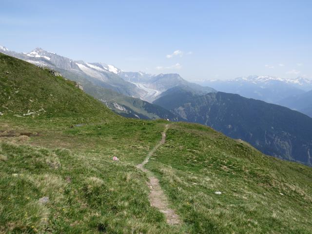 der Serpentinenbergpfad bringt uns zu Punkt 2346 m.ü.M. mit Blick auf den Aletschgletscher