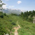 vorbei an der Alpe Nessel wandern wir nun Richtung Punkt 2019 m.ü.M.