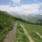 der Wanderweg wird uns nun der schönen Nessjeri Suone entlang Richtung Belalp bringen