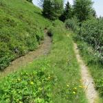 vorbei an der Teiffi Schlucht, wandern wir weiter nach Punkt 2054 m.ü.M.