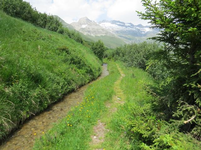 vorbei an Punkt 2054 m.ü.M., laufen wir weiter alles der Nessjeri Suone entlang Richtung Bodme