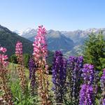 Blick ins Val d'Anniviers und Val de Moiry