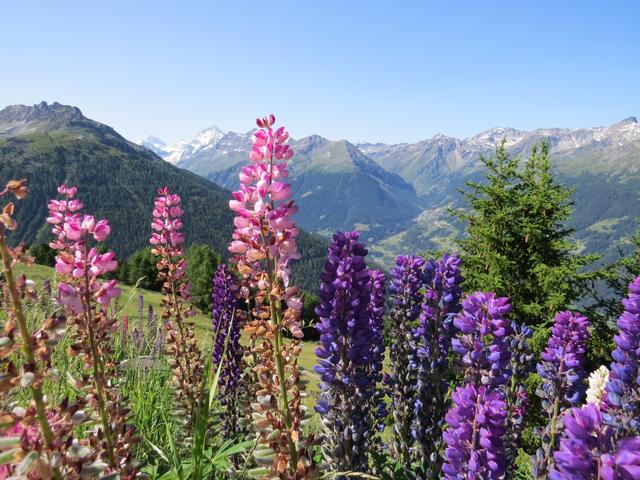 Blick ins Val d'Anniviers und Val de Moiry