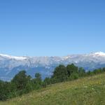 Blick zu den beiden Gletscher Les Diablerets und Wildhorn. Diese haben wir auch schon besucht