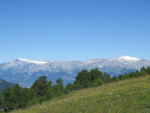 Blick zu den beiden Gletscher Les Diablerets und Wildhorn. Diese haben wir auch schon besucht