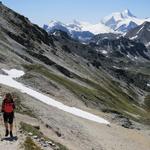 was für eine Aussicht, meine Maus und im Hintergrund das Weisshorn