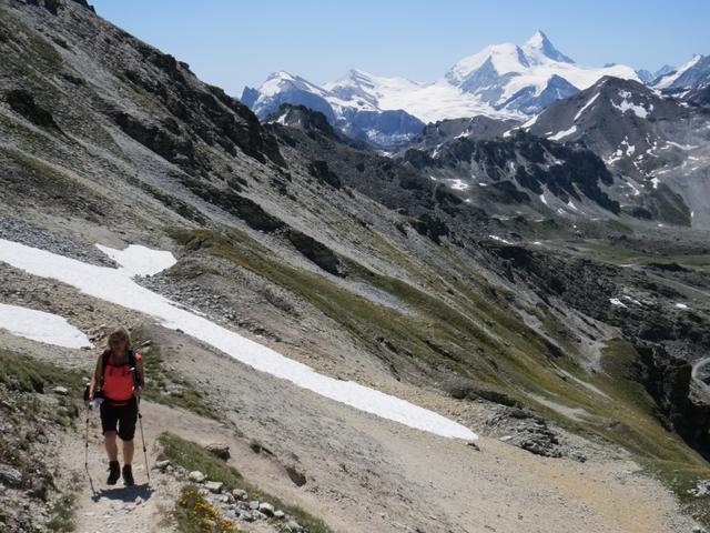 was für eine Aussicht, meine Maus und im Hintergrund das Weisshorn