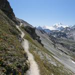 bei der Weggabelung biegen wir rechts ab Richtung Bella Tola