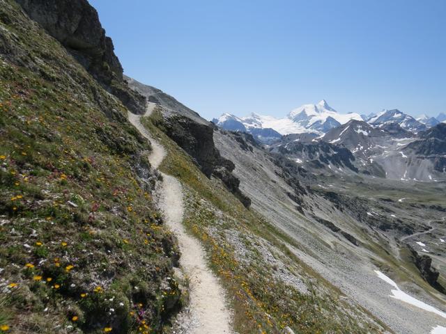 bei der Weggabelung biegen wir rechts ab Richtung Bella Tola