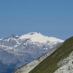 Blick zum Wildhorn