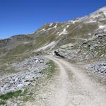 wir haben den Pas du Boeuf hinter uns gelassen uns laufen nun zum Lac de la Bella Tola