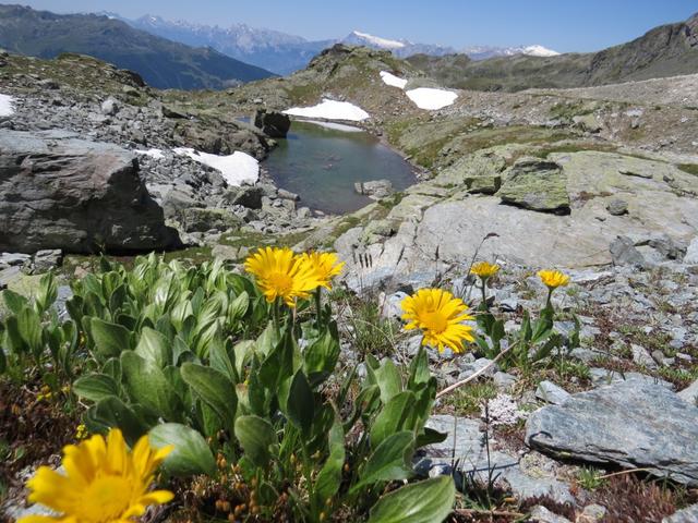 beim kleinen namenlosen Bergsee 2649 m.ü.M.