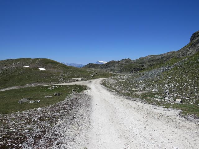 über eine breite Alpstrasse geht unsere Wanderung weiter Richtung Tignousa