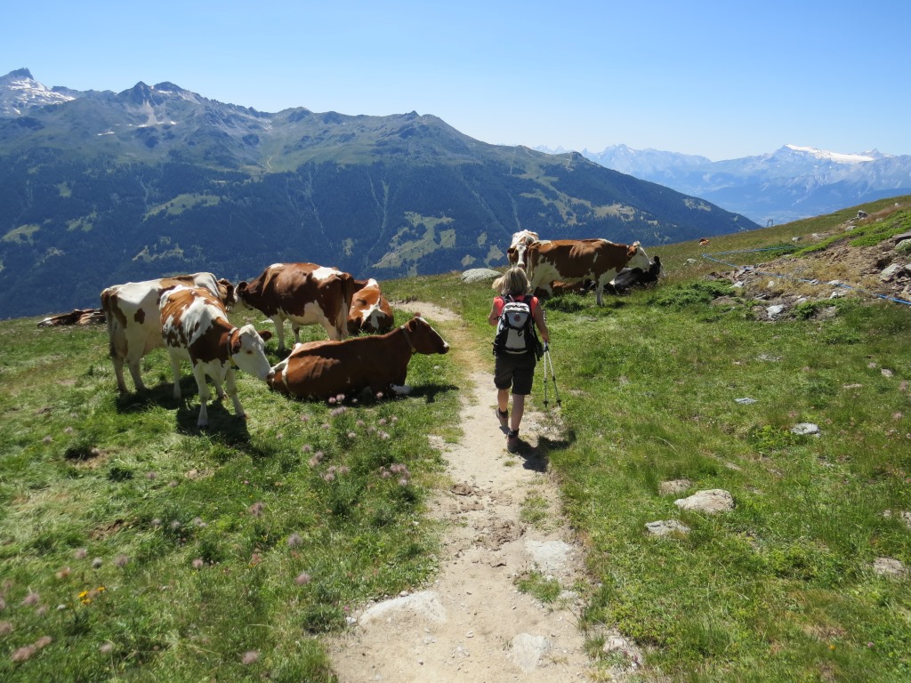 wir verlassen die super schön gelegene Cabane Bella Tola und wandern bei traumhafter Aussicht abwärts nach Tignousa