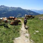 wir verlassen die super schön gelegene Cabane Bella Tola und wandern bei traumhafter Aussicht abwärts nach Tignousa