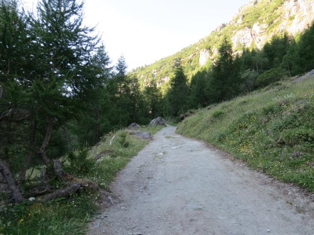 über einen breiten Fahrweg führt der Wanderweg nun leicht aufwärts