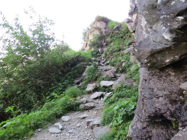 der Weg ist hier steiler und ein bisschen ruppig