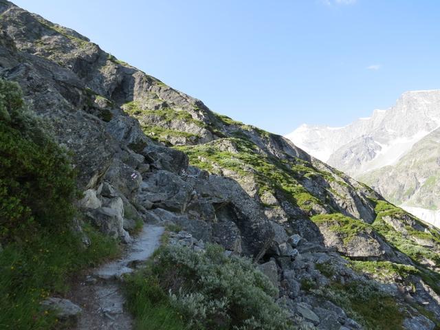 der Weg führt weiter, an Höhe gewinnend, alles am Osthang entlang