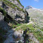 der Weg wird nun alpiner