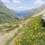 ein Blumenmeer empfägt uns nach der Schlucht