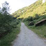 über einen breiten Fahrweg führt der Wanderweg nun leicht aufwärts