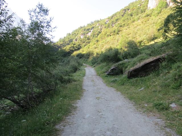 über einen breiten Fahrweg führt der Wanderweg nun leicht aufwärts