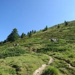 mässig steil wandern wir weiter Richtung Pas du Chasseur