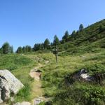 wir erreichen die Weggabelung, wo von links der Bergweg vom Pas du Chasseur hinein mündet