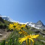 diese Bergwelt einfach traumhaft