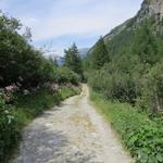 wir haben die Cabane du Petit Mountet hinter uns. Leider keine Fotos, fälschlicherweise gelöscht