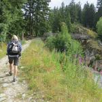 der Wanderweg führt uns nun über den Bergbach Bruchi