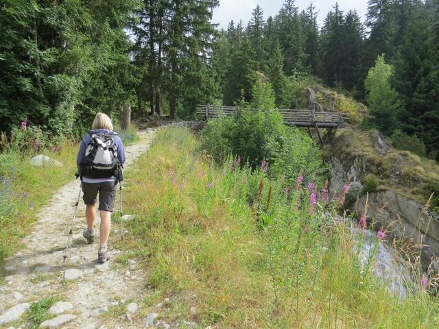 der Wanderweg führt uns nun über den Bergbach Bruchi