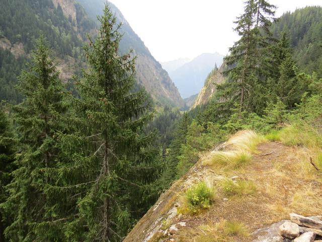 plötzlich taucht vor uns der tiefe Graben der Massaschlucht auf