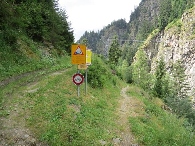bei der nächsten Weggabelung 1303 m.ü.M. geht es rechts hinunter