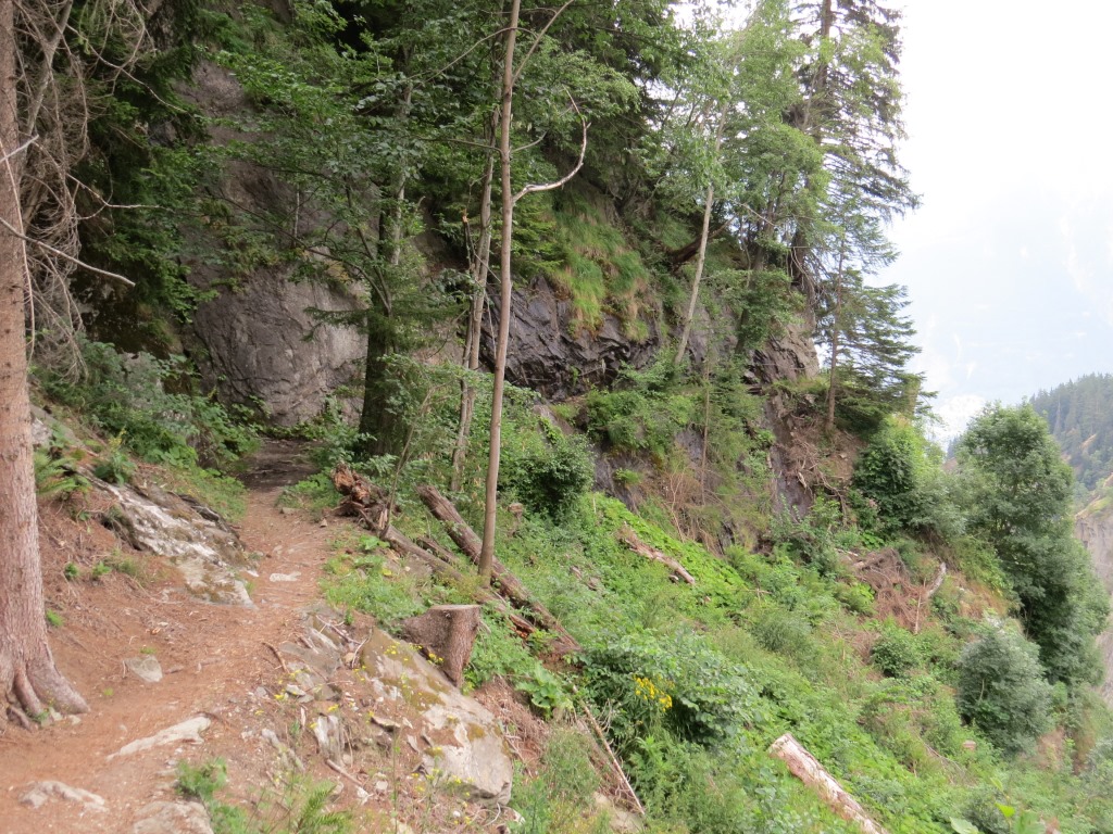 in atemberaubender Linienführung und ausgesetzt führt uns der Weg weiter talauswärts