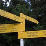 Wegweiser bei Punkt 1265 m.ü.M. Unsere Wanderung wird uns nun nach Täl-Oberried führen