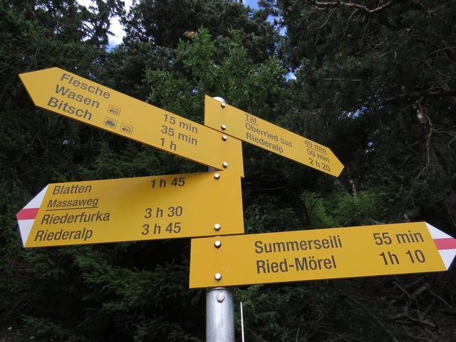 Wegweiser bei Punkt 1265 m.ü.M. Unsere Wanderung wird uns nun nach Täl-Oberried führen