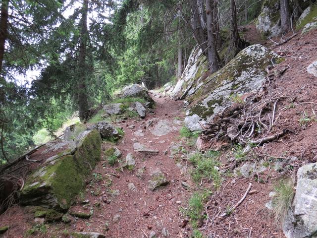 an den steilen Flanken des Schwarzes-Flesch gewinnen wir an Höhe