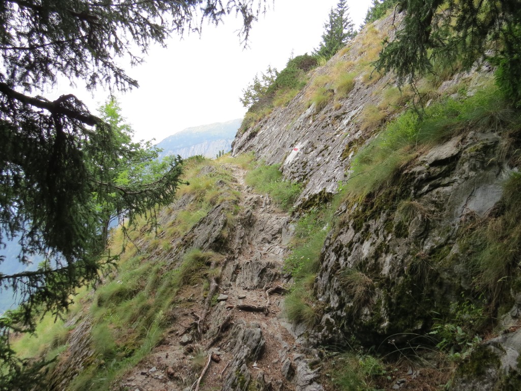 vorbei an Punkt 1614 m.ü.M. geht es an steilen Bergflanken weiter Richtung Knebelbrücke