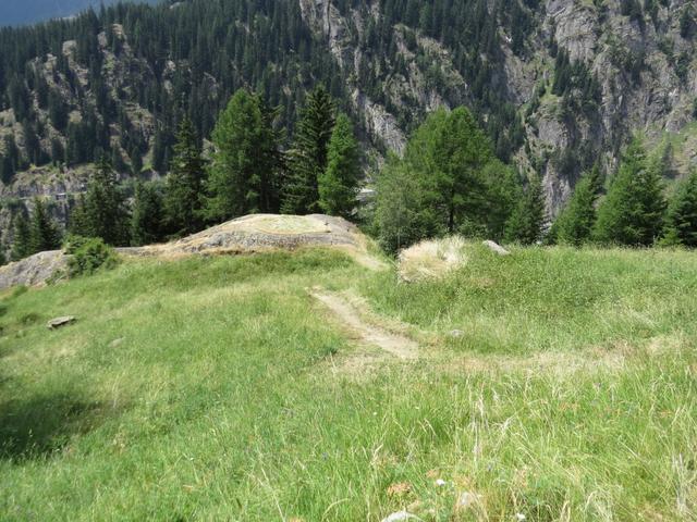 ...erreichen wir die kleine Waldlichtung bei Meder 1466 m.ü.M.