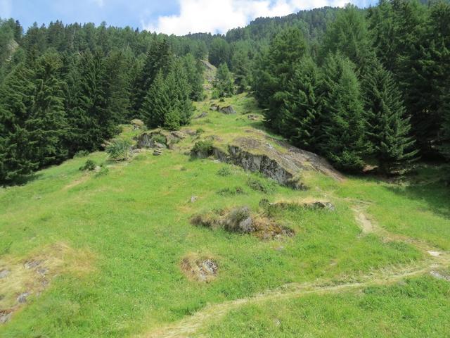 Blick hinauf, von wo wir gekommen sind