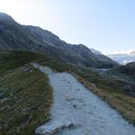 ... über leicht hügeliges Wiesengelände zu den Moränenkämmen des Moiry Gletscher führt