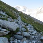 bei Punkt 2590 m.ü.M. kurz vor der Cabane de Moiry