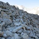 in vielen Kehren und teilweise über Blockwerk, windet sich der Bergweg hinauf