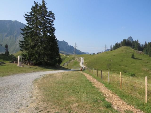 über eine breite Alpstrasse verlassen wir die Bergstation Richtung Riggisalp
